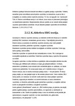 Referāts 'Motivēšana kā vadības funkcija', 11.