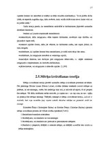 Referāts 'Motivēšana kā vadības funkcija', 17.