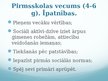 Prezentācija 'Dažādu vecuma grupu psiholoģiskās konsultēšanas īpatnības', 6.