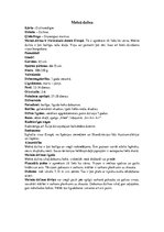 Konspekts 'Dzilnas', 3.