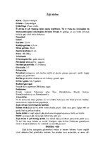 Konspekts 'Dzilnas', 7.