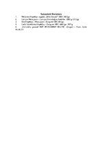 Konspekts 'Dzilnas', 14.