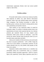 Referāts 'Drošības politika', 5.