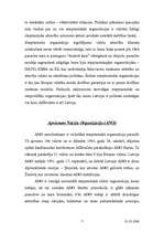 Referāts 'Drošības politika', 7.