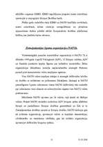 Referāts 'Drošības politika', 12.