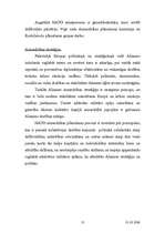 Referāts 'Drošības politika', 13.