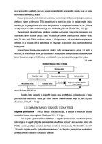 Referāts 'Latvijas komercbanku risku analīze finanšu krīzes apstākļos', 8.