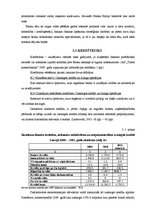 Referāts 'Latvijas komercbanku risku analīze finanšu krīzes apstākļos', 15.