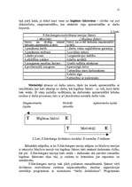 Referāts 'Motivācijas jēdziens. Motivācijas teorijas', 12.