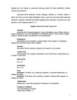 Prakses atskaite 'Prakses atskaite. "Elizabete Design Hotel". Tūrisma vadība', 5.