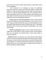 Prakses atskaite 'Prakses atskaite. "Elizabete Design Hotel". Tūrisma vadība', 10.