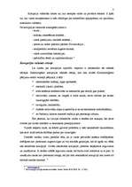 Referāts 'Korupcija', 3.