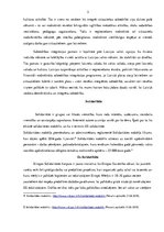 Eseja 'Integrācija un solidaritāte', 3.