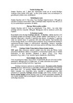 Referāts 'Kuldīga - romantiskā Kurzemes Venēcija', 7.