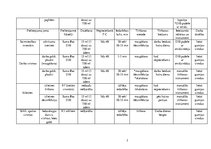 Prakses atskaite 'Prakses atskaite, restorāns "Bergs"', 33.