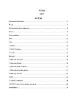 Referāts 'Maršrutētāja konfigurācijas opciju skaidrojumi', 2.