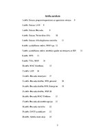 Referāts 'Maršrutētāja konfigurācijas opciju skaidrojumi', 5.