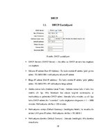 Referāts 'Maršrutētāja konfigurācijas opciju skaidrojumi', 28.