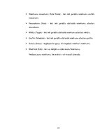 Referāts 'Maršrutētāja konfigurācijas opciju skaidrojumi', 43.