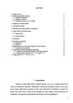 Biznesa plāns 'Biznesa plāns interneta aptiekai', 2.