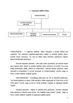 Biznesa plāns 'Biznesa plāns interneta aptiekai', 7.