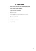 Biznesa plāns 'Biznesa plāns interneta aptiekai', 18.