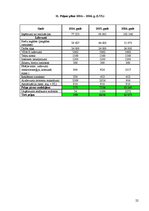 Biznesa plāns 'Biznesa plāns interneta aptiekai', 22.