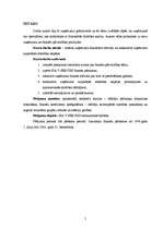 Referāts 'Uzņēmuma finansiālās darbības analīze', 5.