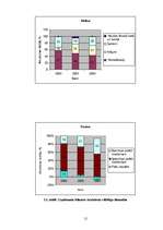 Referāts 'Uzņēmuma finansiālās darbības analīze', 12.