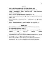 Referāts 'Darba samaksas organizācija', 15.