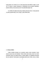 Referāts 'Dezodoranti', 3.