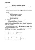 Paraugs 'Špikeris grāmatvedības kontu plāniem', 1.