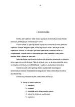 Referāts 'Ilgtermiņa finanšu ieguldījumu būtība, veidi un uzskaites kārtība', 19.