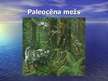 Prezentācija 'Jauna ēra - kainozojs', 8.
