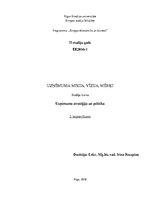 Konspekts 'Uzņēmuma misija, vīzija, mērķi', 1.