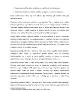 Konspekts 'Uzņēmuma misija, vīzija, mērķi', 3.