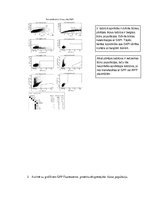 Konspekts 'Biomolekulas un šūnas', 3.