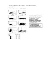 Konspekts 'Biomolekulas un šūnas', 4.