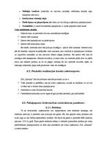 Biznesa plāns 'SIA "Kantana" biznesa plāns', 22.