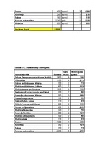 Biznesa plāns 'SIA "Kantana" biznesa plāns', 26.