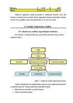 Biznesa plāns 'SIA "Kantana" biznesa plāns', 27.