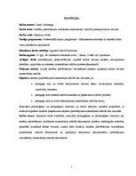 Referāts 'Skolēnu pašvērtējuma veidošanās matemātikas mācībā jaunākajā skolas vecumā', 2.