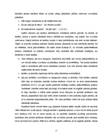 Referāts 'Skolēnu pašvērtējuma veidošanās matemātikas mācībā jaunākajā skolas vecumā', 27.