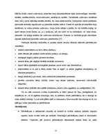 Referāts 'Skolēnu pašvērtējuma veidošanās matemātikas mācībā jaunākajā skolas vecumā', 53.