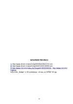 Referāts 'GPRS', 10.