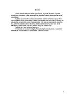 Referāts 'Vaidavas pamatskola', 4.
