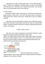 Referāts 'Krāsas', 6.