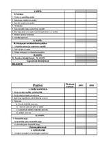 Referāts 'Uzņēmuma gada pārskata sastādīšana un noformēšana', 5.