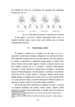 Referāts 'Klasteru analīze un tās izmantošana ekonomikas, tirgzinību, reklāmas pētīšanā un', 14.