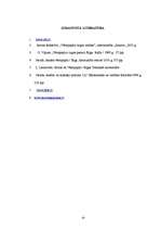 Referāts 'Rīgas Fondu birža un tās loma vērtspapīru tirgus attīstībā', 19.